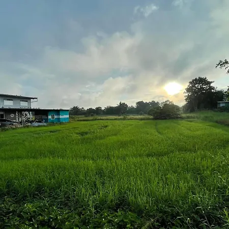 Srihome ยายศรีโฮมแอนแคมป์ปิ้ง Ban Don Tum Exterior photo